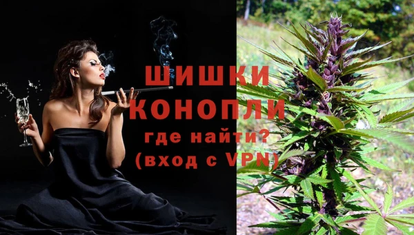 a pvp Аркадак
