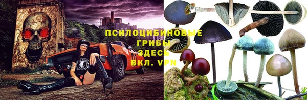 a pvp Аркадак