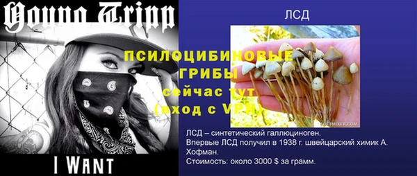 МДПВ Армянск